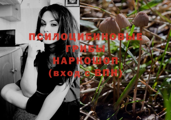трава Аркадак