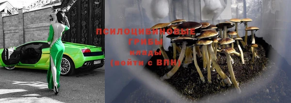 трава Аркадак