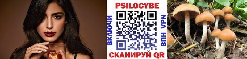 хочу   Ноябрьск  Псилоцибиновые грибы Magic Shrooms 
