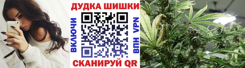где купить наркотик  Ноябрьск  Конопля ГИДРОПОН 